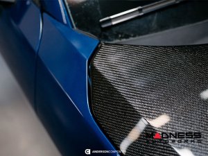 Ford Mustang Carbon Fiber Hood - Type-GT5